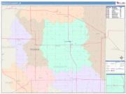 Randolph <br /> Wall Map <br /> Color Cast Style 2025 Map