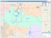 Steuben <br /> Wall Map <br /> Color Cast Style 2025 Map