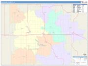 Delaware <br /> Wall Map <br /> Color Cast Style 2025 Map