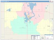 Dickinson <br /> Wall Map <br /> Color Cast Style 2025 Map
