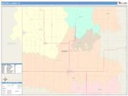 Mitchell <br /> Wall Map <br /> Color Cast Style 2025 Map