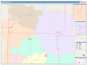 Page <br /> Wall Map <br /> Color Cast Style 2025 Map