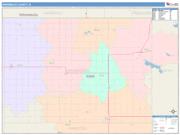 Winnebago <br /> Wall Map <br /> Color Cast Style 2025 Map