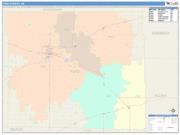 Ford <br /> Wall Map <br /> Color Cast Style 2025 Map