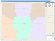 Ness <br /> Wall Map <br /> Color Cast Style 2025 Map