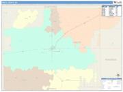 Pratt <br /> Wall Map <br /> Color Cast Style 2025 Map