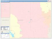 Woodson <br /> Wall Map <br /> Color Cast Style 2025 Map