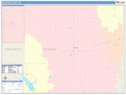 Woodson <br /> Wall Map <br /> Color Cast Style 2024 Map