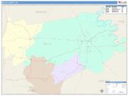 Boyle <br /> Wall Map <br /> Color Cast Style 2025 Map
