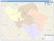 Fleming <br /> Wall Map <br /> Color Cast Style 2024 Map