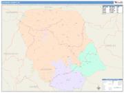 Jackson <br /> Wall Map <br /> Color Cast Style 2025 Map