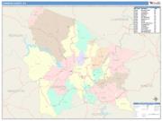 Johnson <br /> Wall Map <br /> Color Cast Style 2025 Map