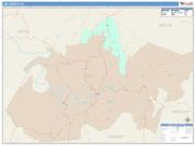 Lee <br /> Wall Map <br /> Color Cast Style 2025 Map