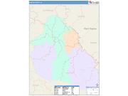 Martin <br /> Wall Map <br /> Color Cast Style 2025 Map