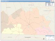 Monroe <br /> Wall Map <br /> Color Cast Style 2025 Map