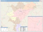 Nelson <br /> Wall Map <br /> Color Cast Style 2025 Map