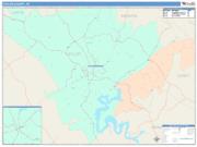 Taylor <br /> Wall Map <br /> Color Cast Style 2025 Map