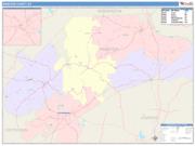Webster <br /> Wall Map <br /> Color Cast Style 2025 Map