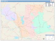 Grant <br /> Wall Map <br /> Color Cast Style 2025 Map