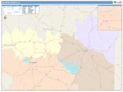 Jackson <br /> Wall Map <br /> Color Cast Style 2025 Map
