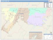 Allegany <br /> Wall Map <br /> Color Cast Style 2025 Map