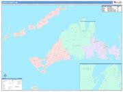 Dukes <br /> Wall Map <br /> Color Cast Style 2025 Map