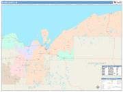 Alger <br /> Wall Map <br /> Color Cast Style 2025 Map
