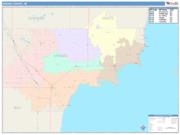 Arenac <br /> Wall Map <br /> Color Cast Style 2025 Map