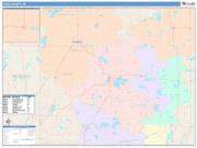 Cass <br /> Wall Map <br /> Color Cast Style 2025 Map