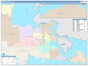 Chippewa <br /> Wall Map <br /> Color Cast Style 2025 Map