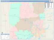Livingston <br /> Wall Map <br /> Color Cast Style 2025 Map