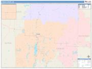 Otsego <br /> Wall Map <br /> Color Cast Style 2025 Map