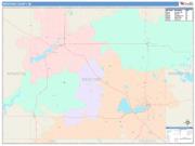 Wexford <br /> Wall Map <br /> Color Cast Style 2025 Map