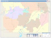 Carlton <br /> Wall Map <br /> Color Cast Style 2025 Map