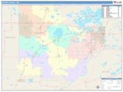 Carver <br /> Wall Map <br /> Color Cast Style 2025 Map