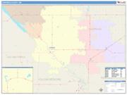 Chippewa <br /> Wall Map <br /> Color Cast Style 2025 Map