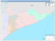 Cook <br /> Wall Map <br /> Color Cast Style 2025 Map