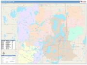 Douglas <br /> Wall Map <br /> Color Cast Style 2025 Map