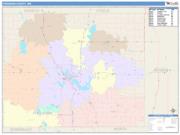 Freeborn <br /> Wall Map <br /> Color Cast Style 2025 Map