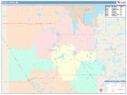 Grant <br /> Wall Map <br /> Color Cast Style 2025 Map