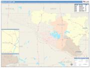 Nicollet <br /> Wall Map <br /> Color Cast Style 2025 Map