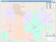 Nobles <br /> Wall Map <br /> Color Cast Style 2025 Map