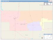 Red Lake <br /> Wall Map <br /> Color Cast Style 2025 Map