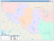 Sherburne <br /> Wall Map <br /> Color Cast Style 2025 Map