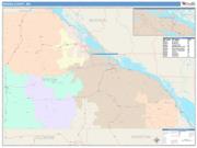 Winona <br /> Wall Map <br /> Color Cast Style 2025 Map