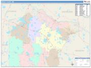 Wright <br /> Wall Map <br /> Color Cast Style 2025 Map