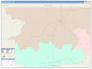 Alcorn <br /> Wall Map <br /> Color Cast Style 2025 Map