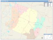 Holmes <br /> Wall Map <br /> Color Cast Style 2025 Map