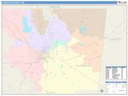 Lauderdale <br /> Wall Map <br /> Color Cast Style 2025 Map