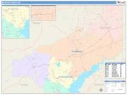 Madison <br /> Wall Map <br /> Color Cast Style 2025 Map